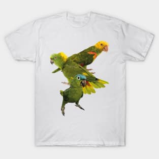 Parrots T-Shirt